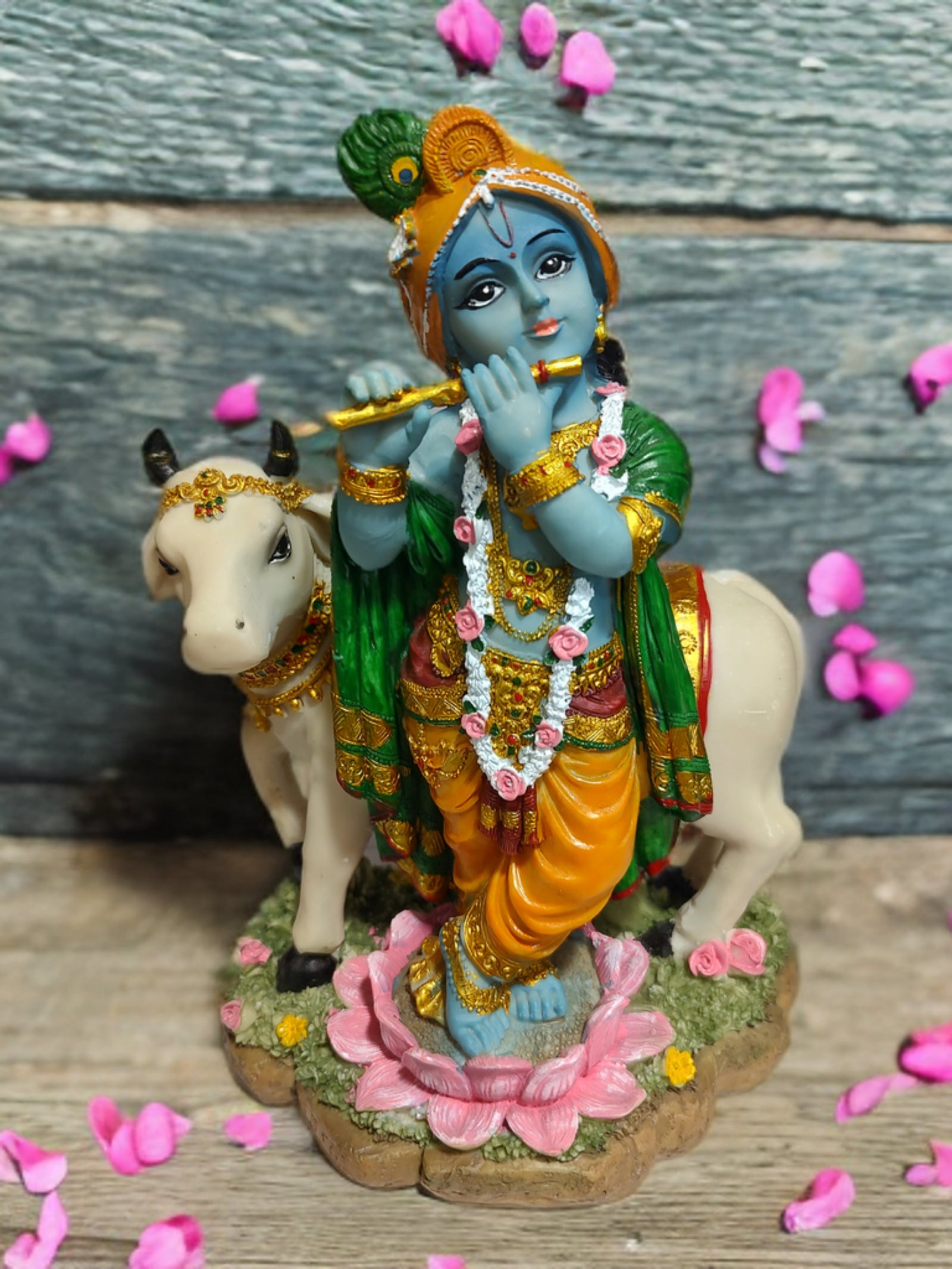 Gopal Krishna - 6"