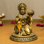 Lord Hanuman Murti