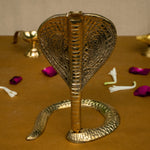 Naagdev- 6.5"
