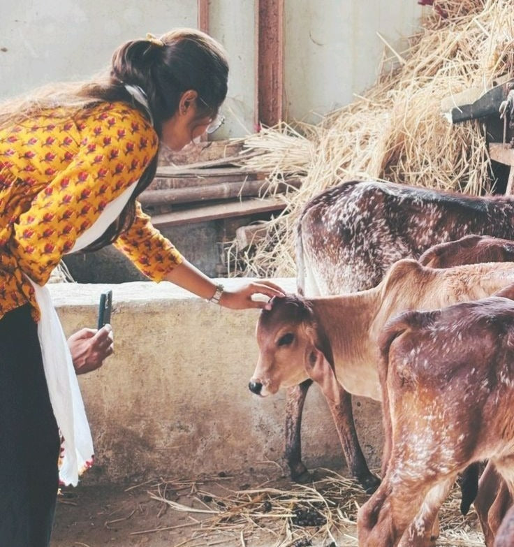 Gau Seva